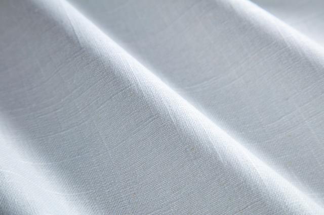 Swavelle Old Country Linen Cloud